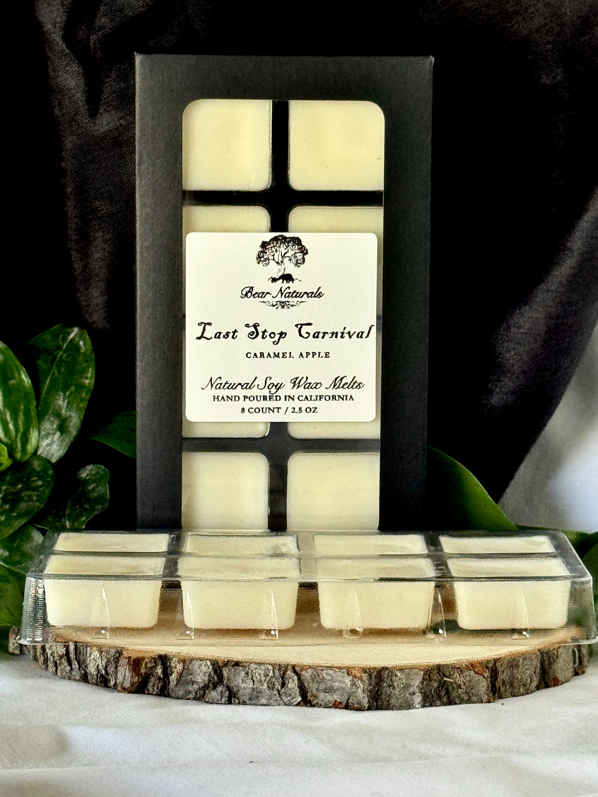 Last Stop Carnival Natural Soy Scented Wax Melts