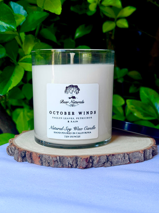 a ten ounce white candle in a clear jar featuring a white label with black writing on a wooden surface with green leaves in the back ground.
