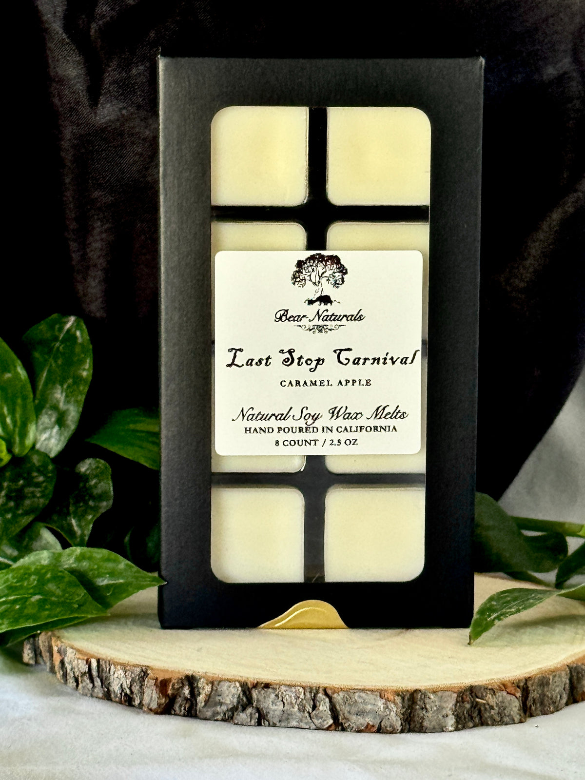 Last Stop Carnival Natural Soy Scented Wax Melts