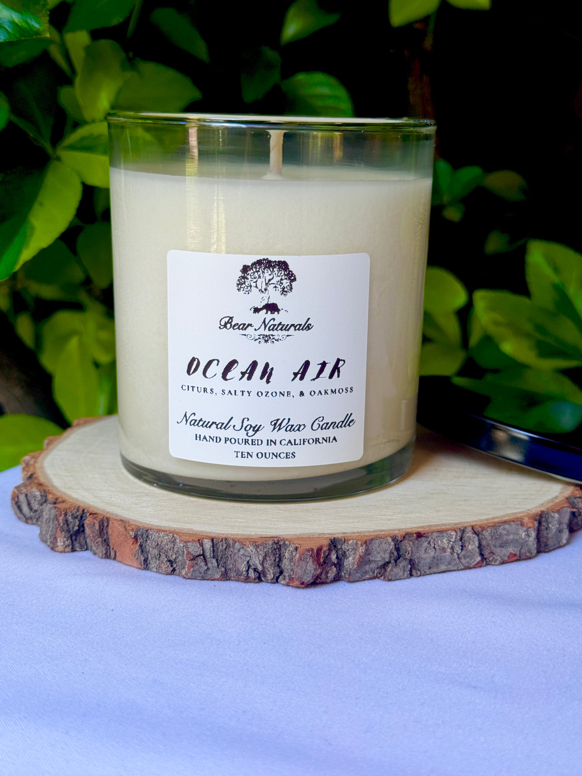 a ten ounce white candle in a clear jar featuring a white label with black writing on a wooden surface with green leaves in the back ground.