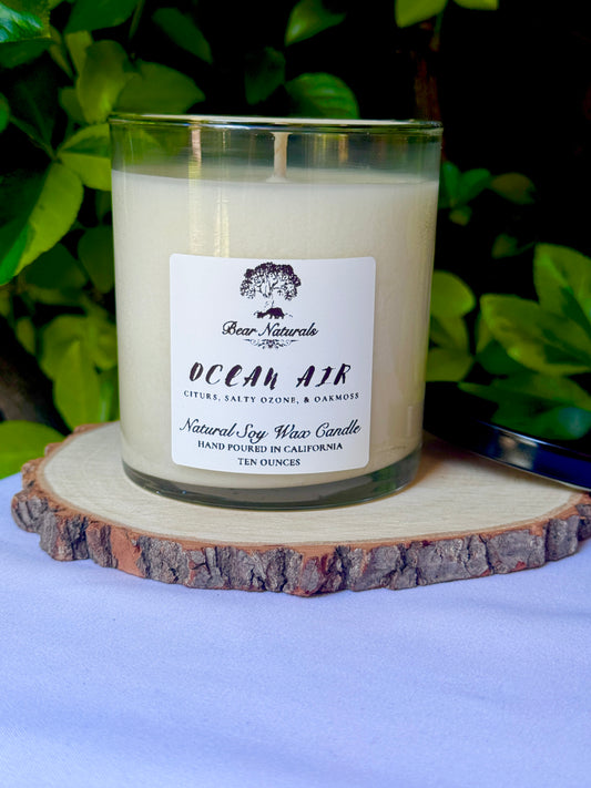 a ten ounce white candle in a clear jar featuring a white label with black writing on a wooden surface with green leaves in the back ground.