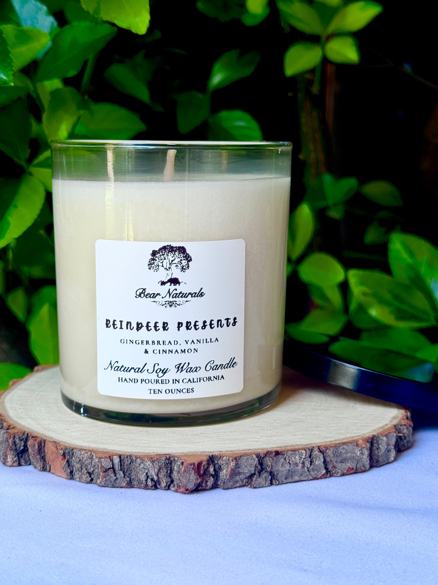 a ten ounce white candle in a clear jar featuring a white label with black writing on a wooden surface with green leaves in the back ground.